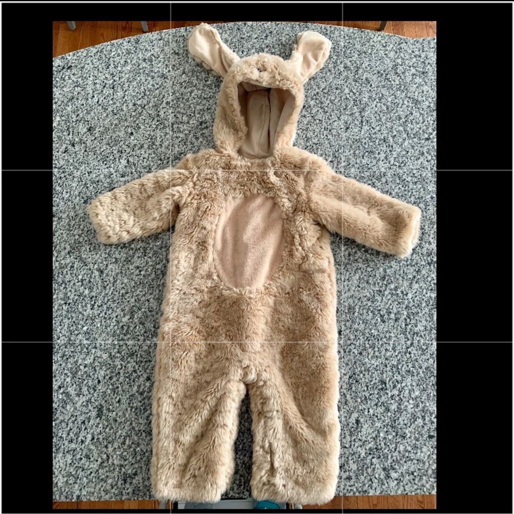 Bunny Costume